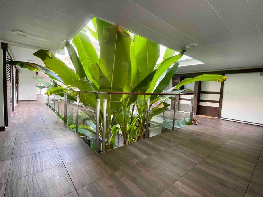 Superbe Appartement, Piscine, Vue Mer Et Montagnes Antibes Dış mekan fotoğraf