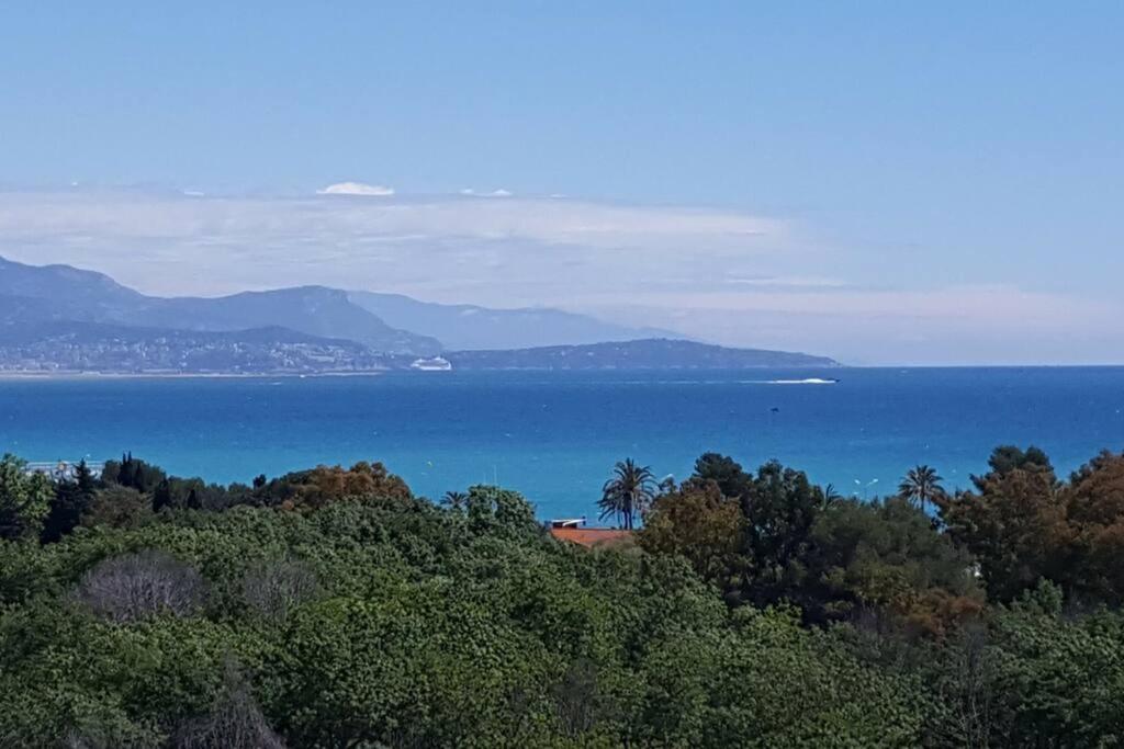 Superbe Appartement, Piscine, Vue Mer Et Montagnes Antibes Dış mekan fotoğraf