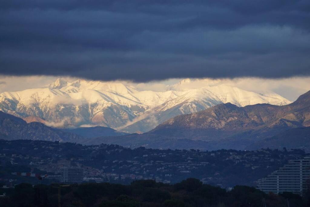 Superbe Appartement, Piscine, Vue Mer Et Montagnes Antibes Dış mekan fotoğraf