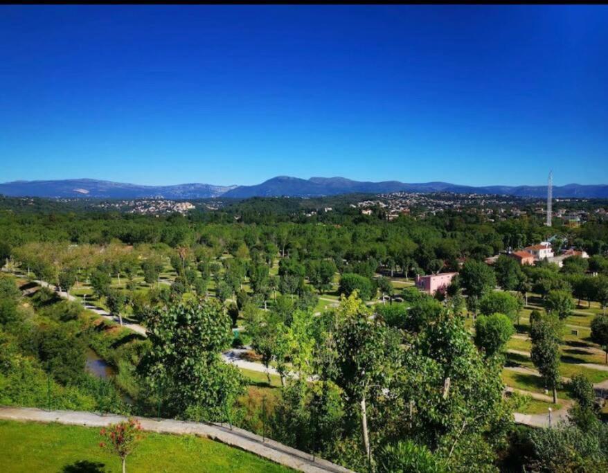 Superbe Appartement, Piscine, Vue Mer Et Montagnes Antibes Dış mekan fotoğraf