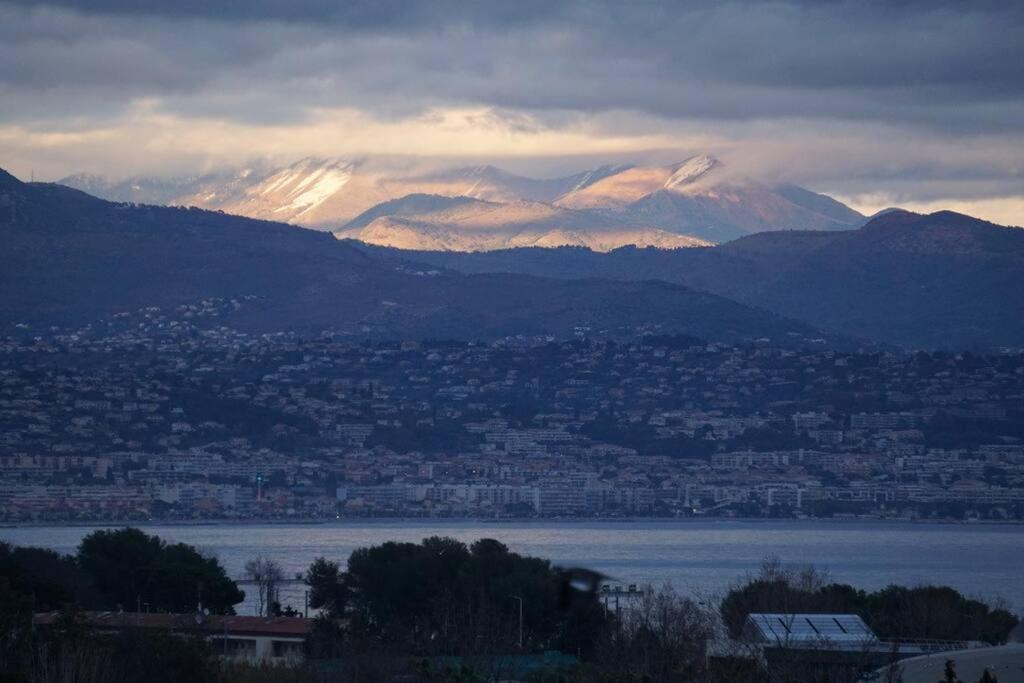 Superbe Appartement, Piscine, Vue Mer Et Montagnes Antibes Dış mekan fotoğraf